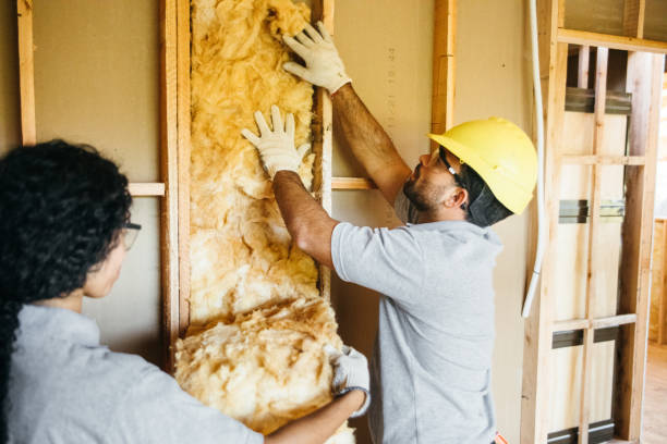 Best Insulation for New Construction  in Saline, MI